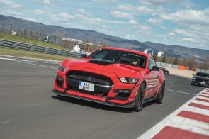 _DSC0200 (7)