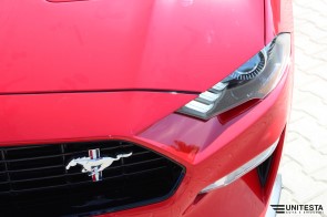 2019 Ford Mustang GT convertible automatic 10 st. 5.0 480 PS California Special Race Red (15)