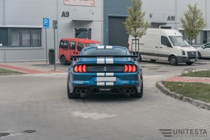 22550081621 (4) (3)
