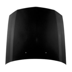 Hood for Mustang 2005-2009